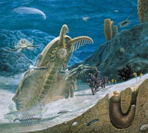 Precambrian-Cambrian boundary Explosion II – Science Circle