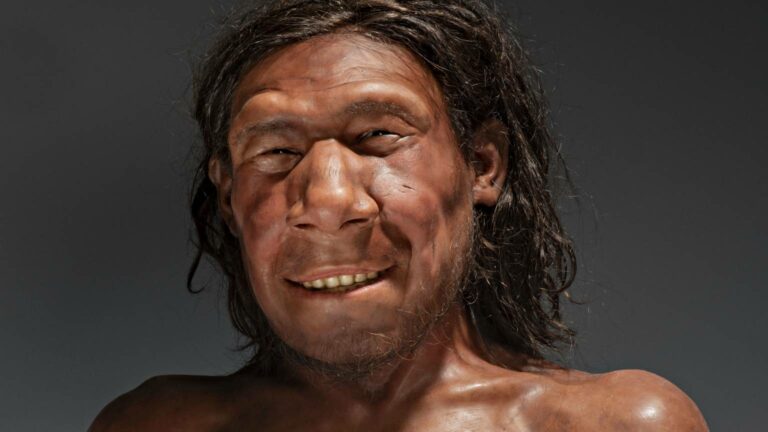Neanderthal gene variants both increase and decrease the risk for ...